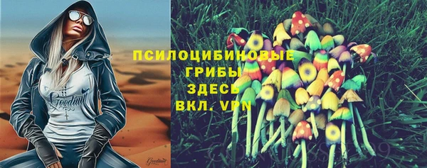 дурь Белокуриха
