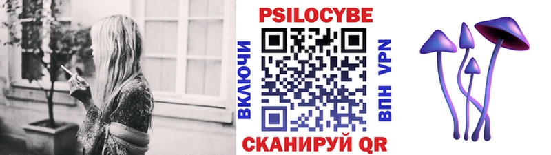 ссылка на мегу ссылка  Мезень  Псилоцибиновые грибы мухоморы  купить  цена 